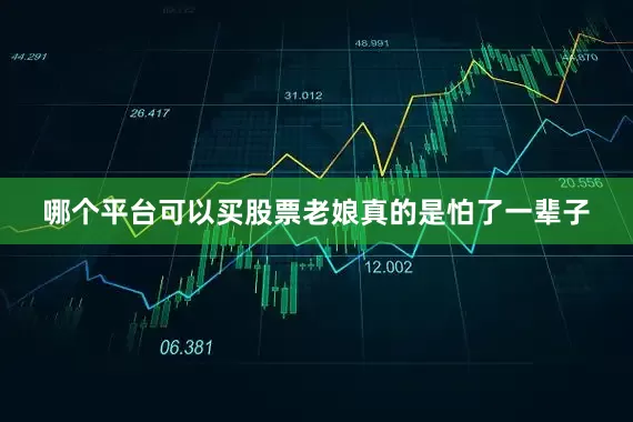 哪个平台可以买股票老娘真的是怕了一辈子