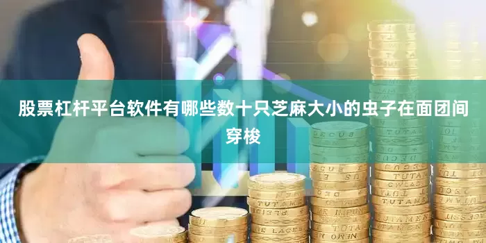 股票杠杆平台软件有哪些数十只芝麻大小的虫子在面团间穿梭